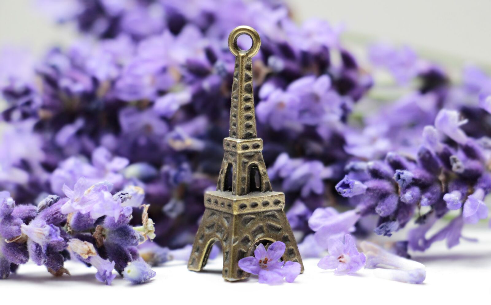 Canon EOS 100D (EOS Rebel SL1 / EOS Kiss X7) sample photo. Eiffel tower, roses, france photography
