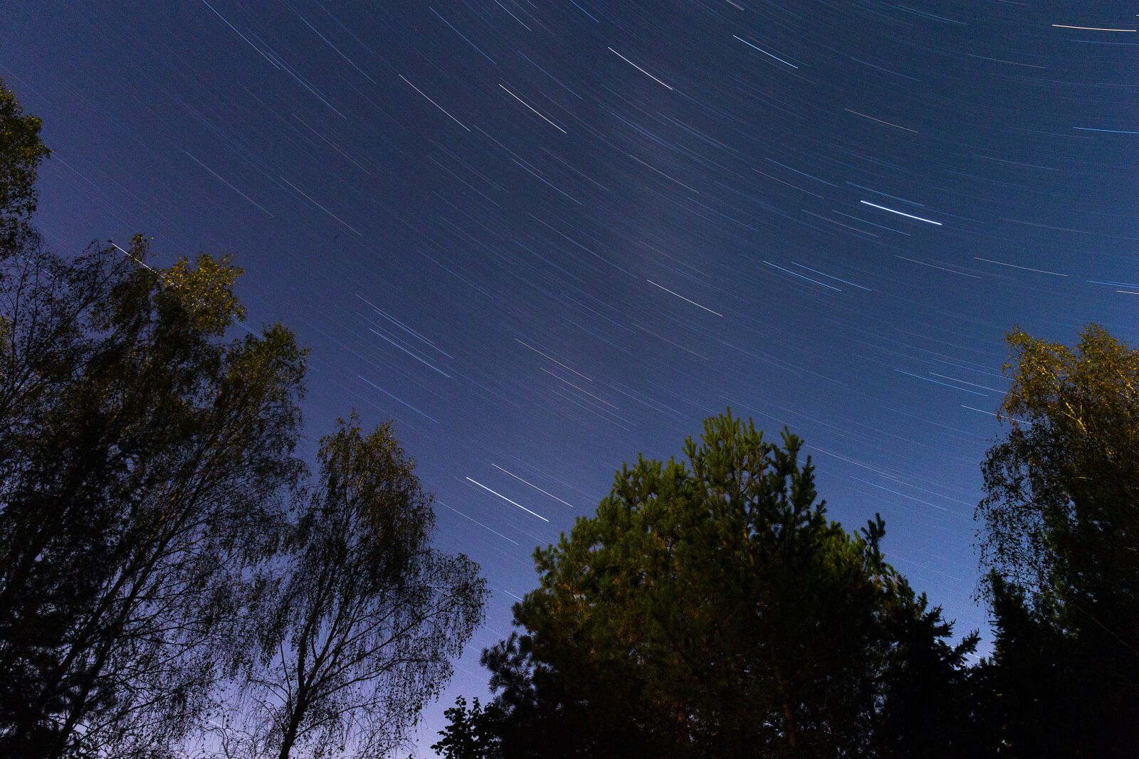Canon EF 24-70mm F4L IS USM sample photo. Night, celebrities, sky photography