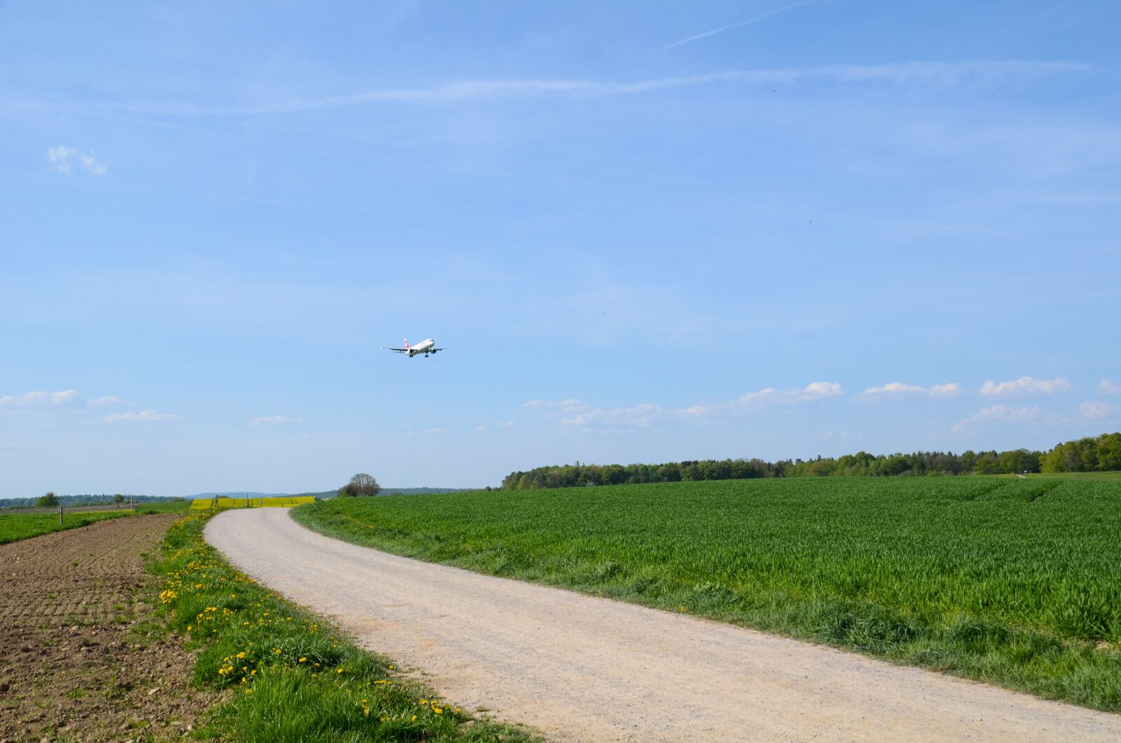 Nikon D7000 sample photo. Aircraft, approach, landing photography