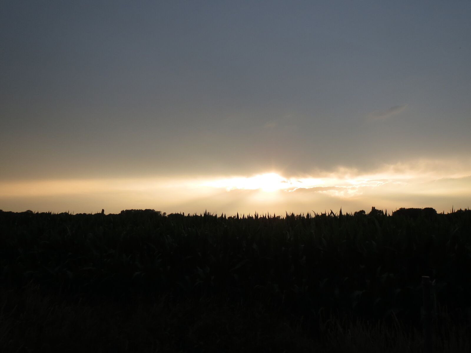 Canon PowerShot ELPH 520 HS (IXUS 500 HS / IXY 3) sample photo. Sunset, netherlands, landscape photography
