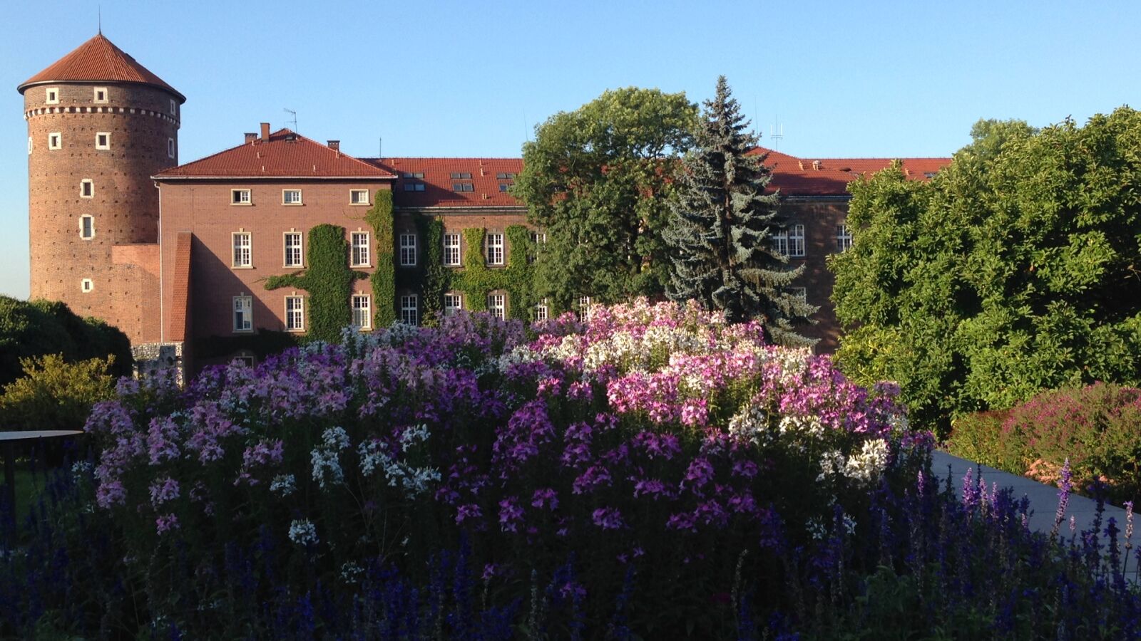 iPhone 5c back camera 4.12mm f/2.4 sample photo. Kraków, wawel, castle photography