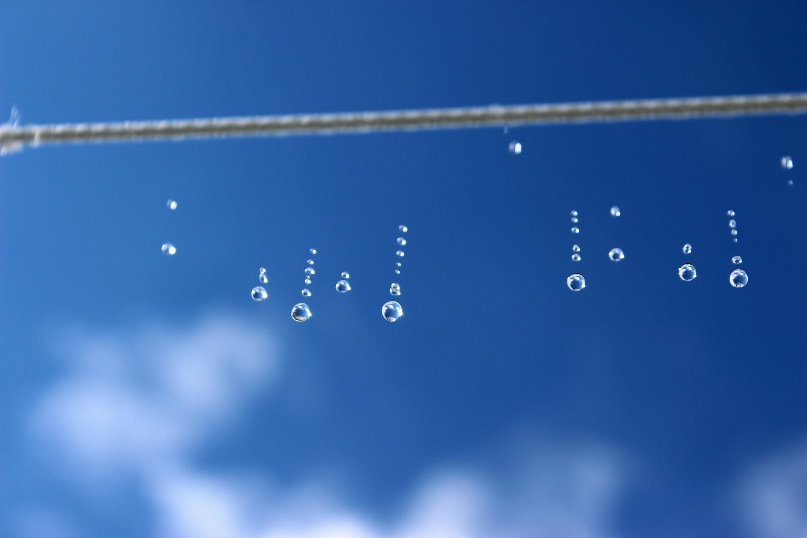 Canon EOS 650D (EOS Rebel T4i / EOS Kiss X6i) sample photo. Drip, raindrop, falling drops photography