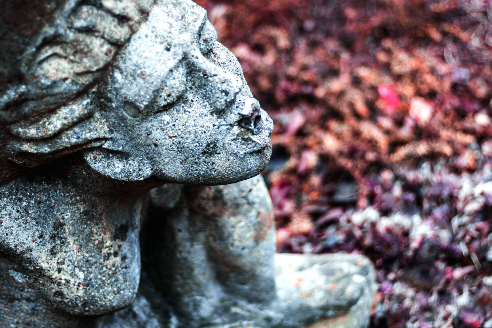 Canon EOS 750D (EOS Rebel T6i / EOS Kiss X8i) sample photo. Sculpture, art, cemetery, statue photography