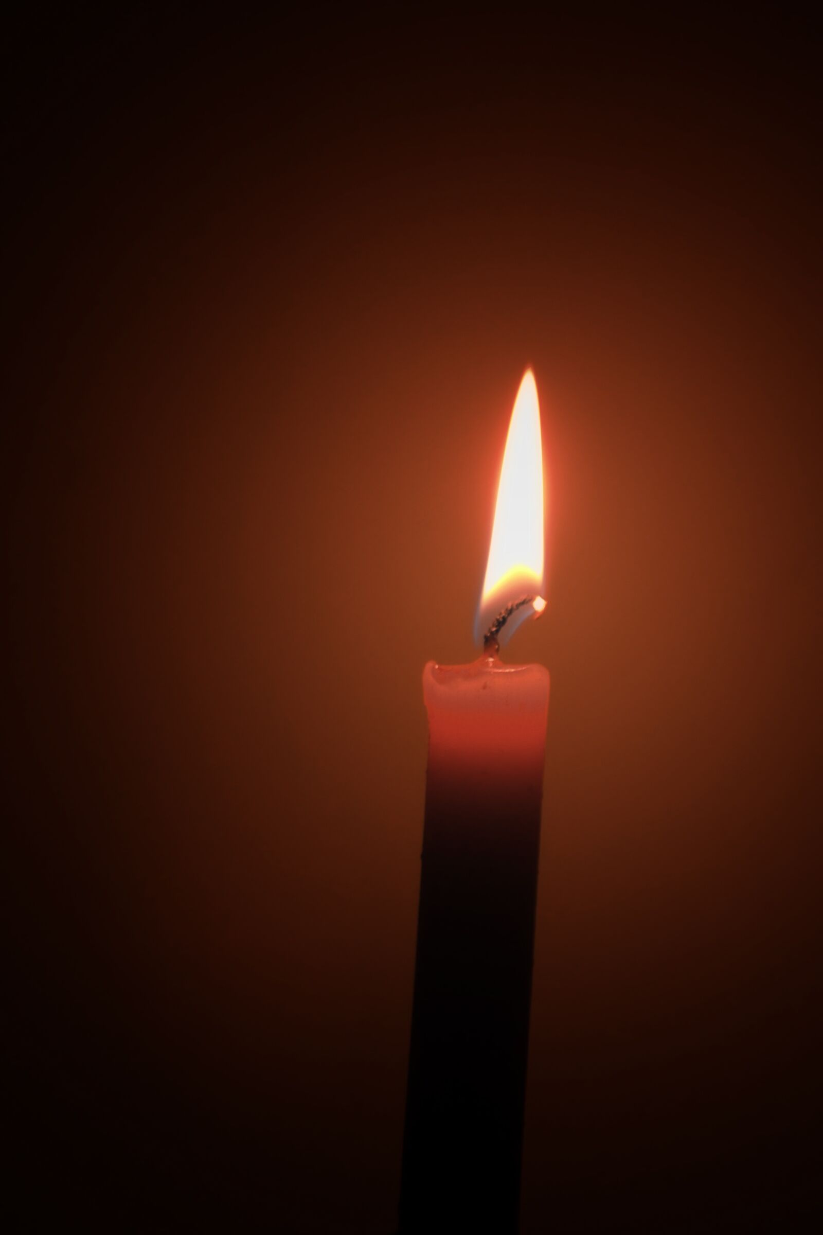 Canon EOS 450D (EOS Rebel XSi / EOS Kiss X2) sample photo. Lonely, candle, dark photography