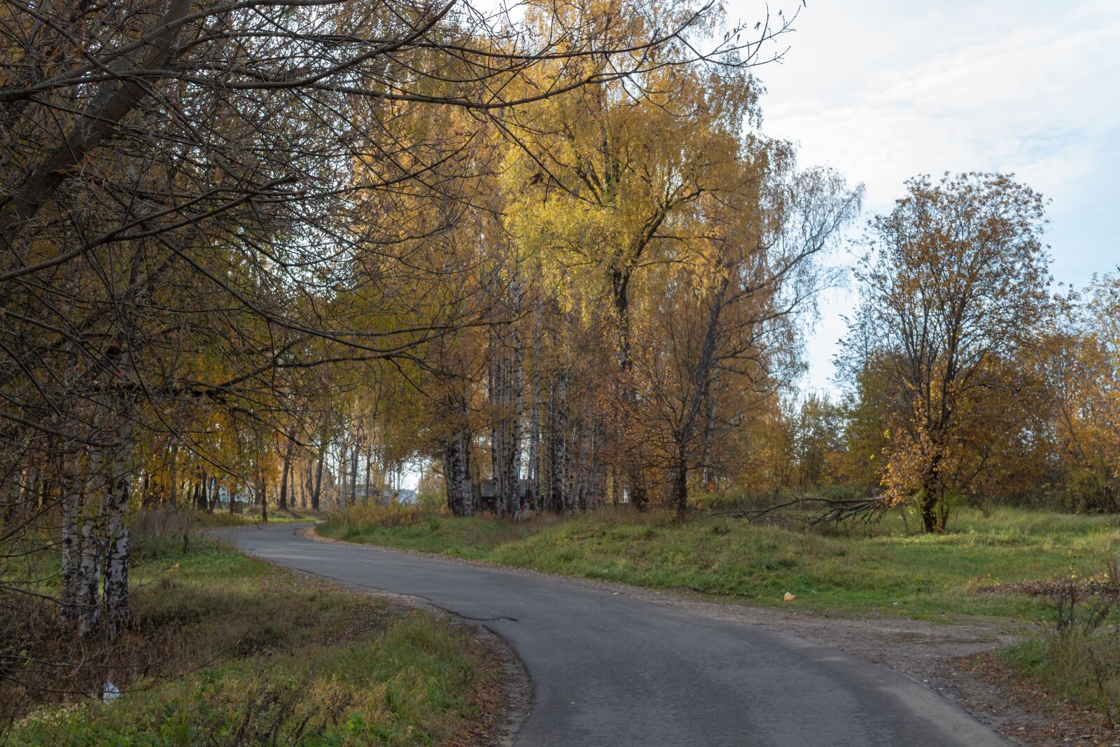 Canon EOS 1300D (EOS Rebel T6 / EOS Kiss X80) sample photo. Autumn, trees, road photography
