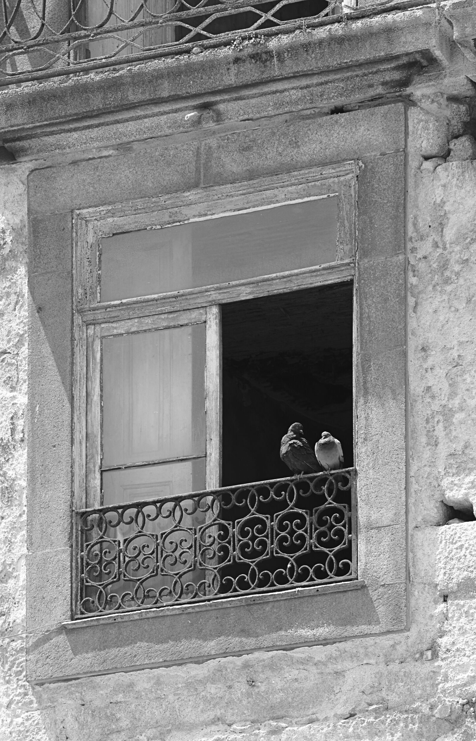 Canon EF 70-200mm F2.8L IS II USM sample photo. Dove, window, ruin photography