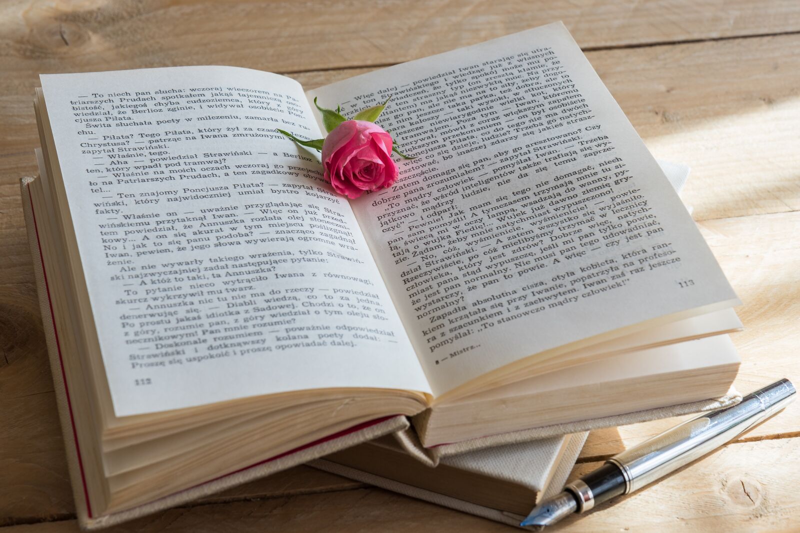 Canon EOS 7D Mark II sample photo. Book, rose, pen photography
