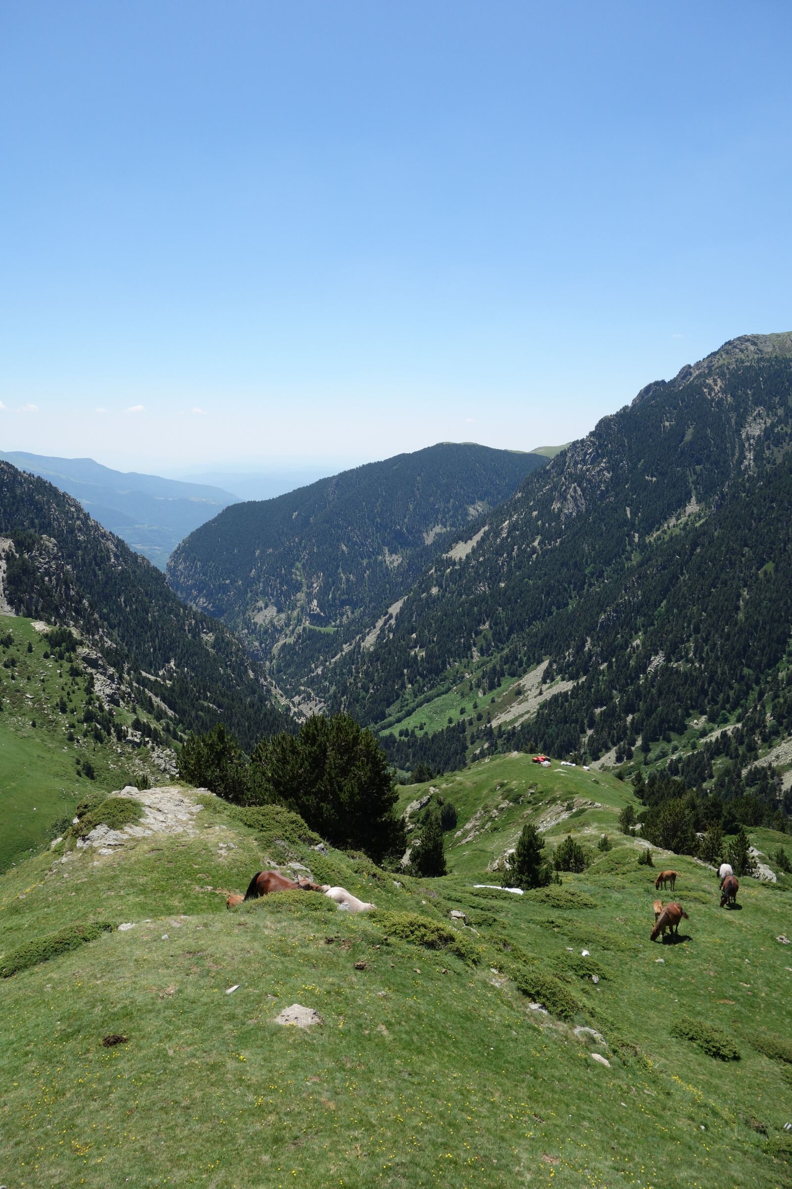 Sony Cyber-shot DSC-RX100 sample photo. Vall de nuria, pyrenees photography