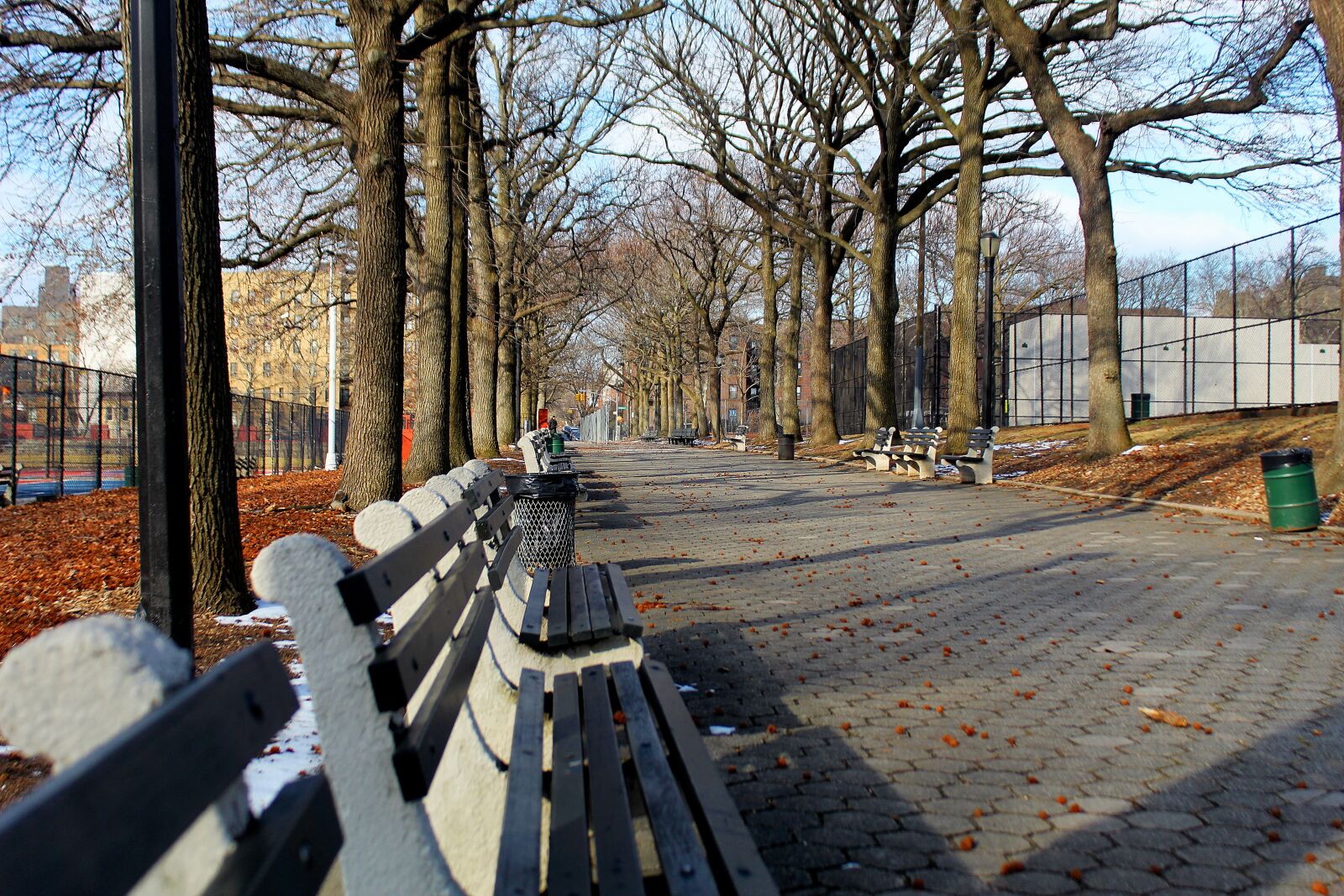 Canon EOS 1300D (EOS Rebel T6 / EOS Kiss X80) sample photo. Park, bench, sitting photography