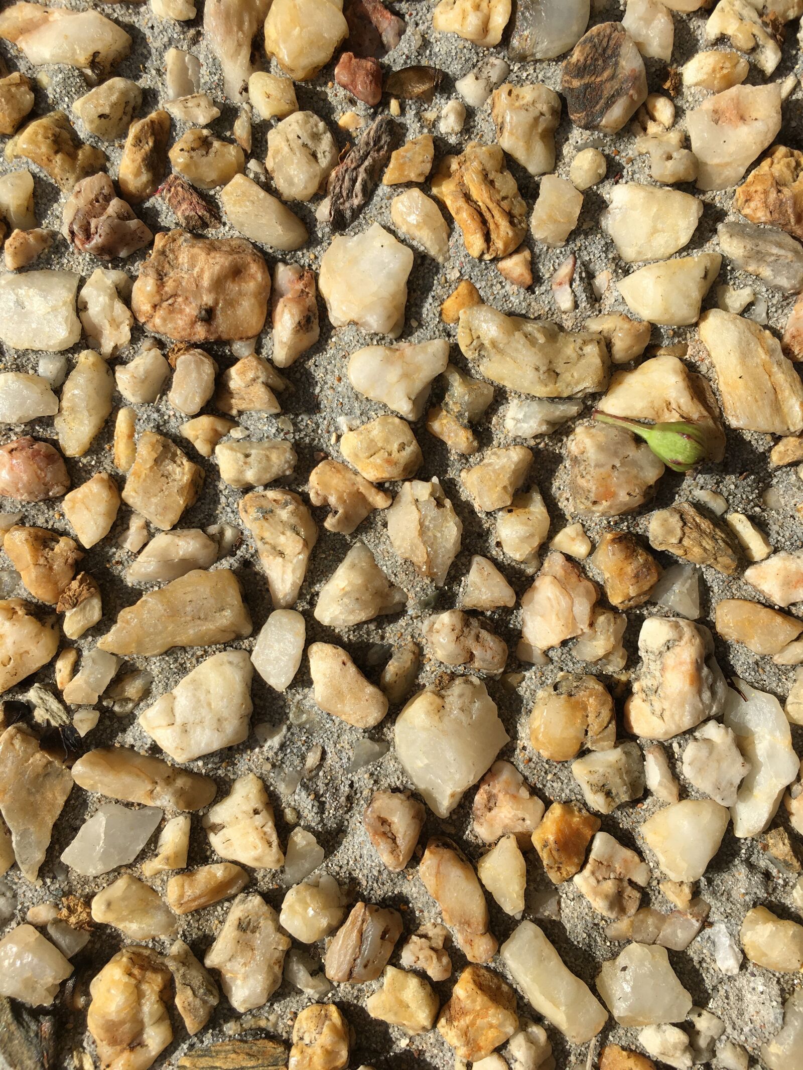 iPhone 6s Plus back camera 4.15mm f/2.2 sample photo. Rock, pebble, texture photography