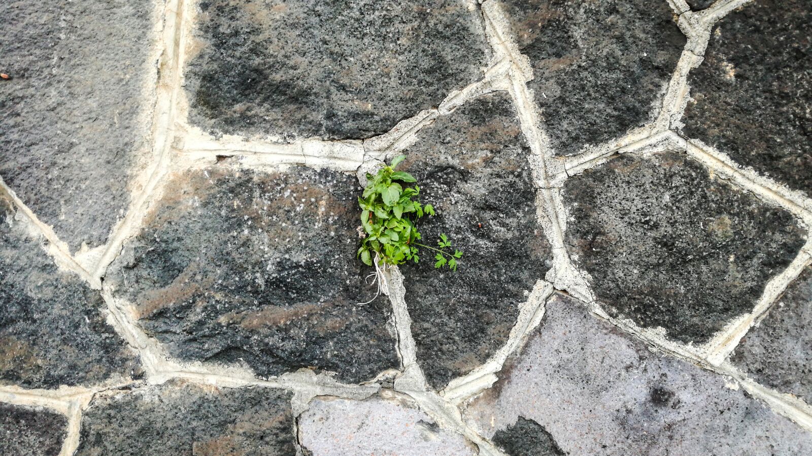 HUAWEI P9 LITE sample photo. Stone's, structure, rock photography