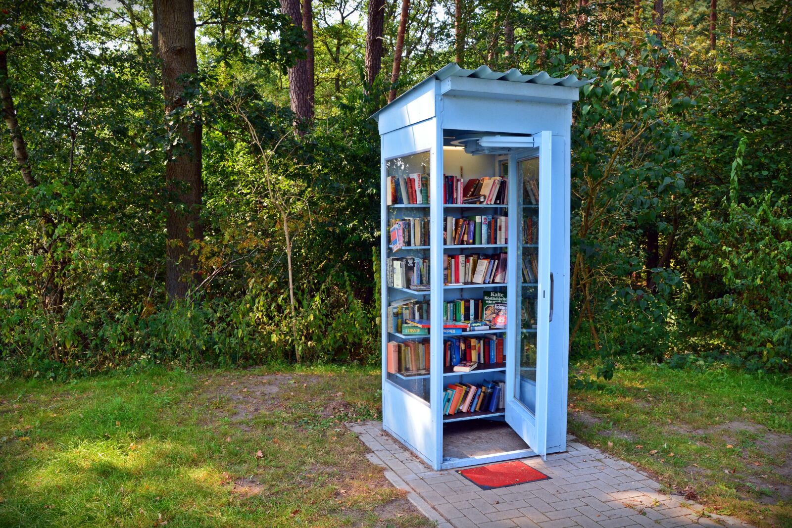 Nikon D5200 sample photo. Phone booth, books, borrow photography