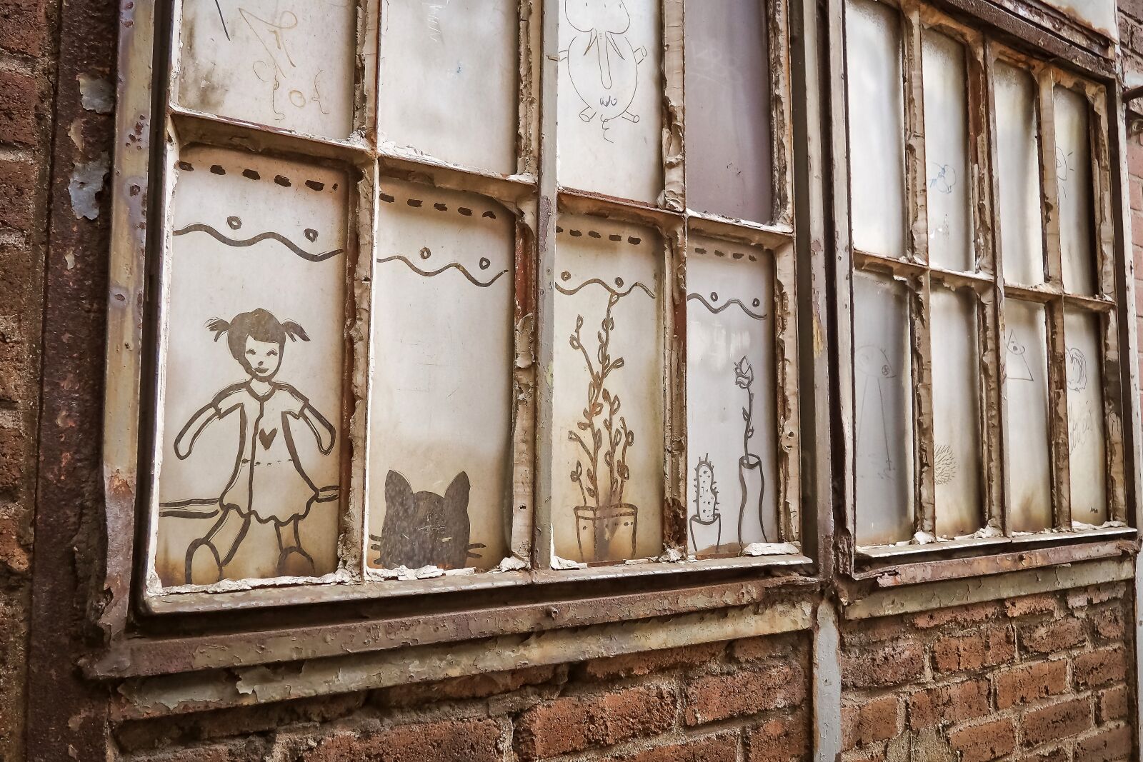Olympus OM-D E-M10 sample photo. Window, discs, graffiti photography