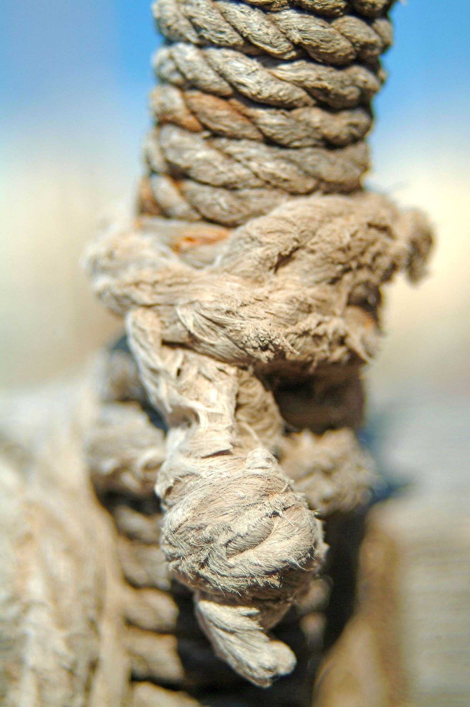 Nikon D3200 sample photo. Rope, twisted rope, ship photography