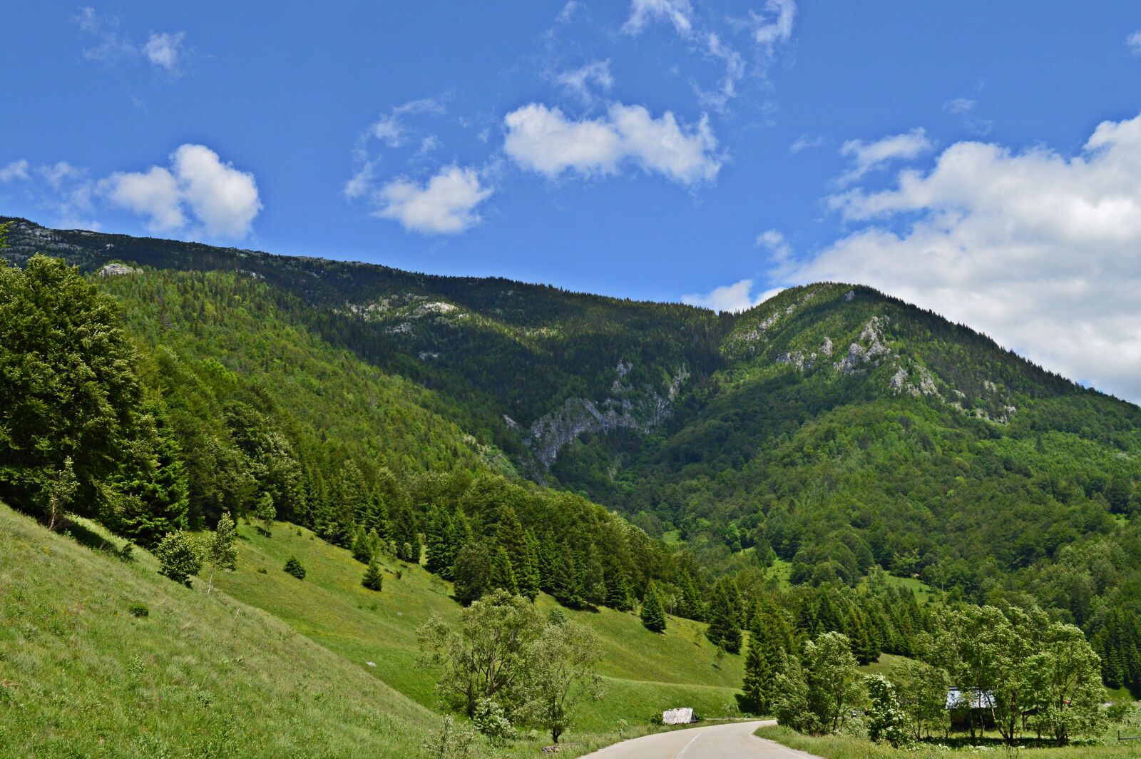 Nikon D3200 sample photo. Road 66a, mountain, romania photography