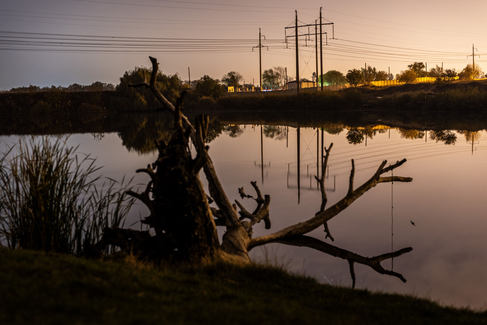 Nikon D750 + Nikon AF-S Nikkor 50mm F1.8G sample photo