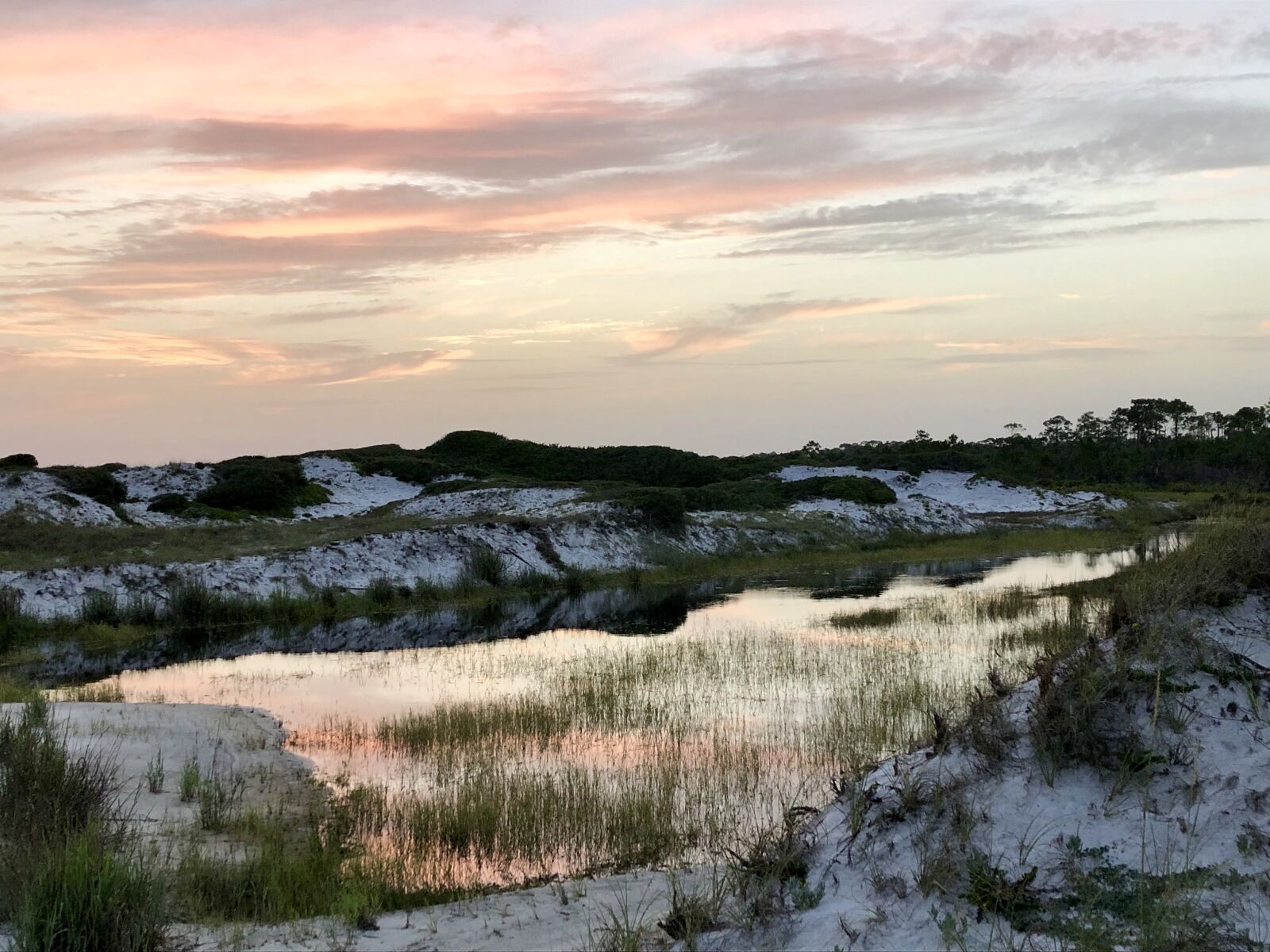 iPhone 8 back camera 3.99mm f/1.8 sample photo. Beach, florida, sand photography