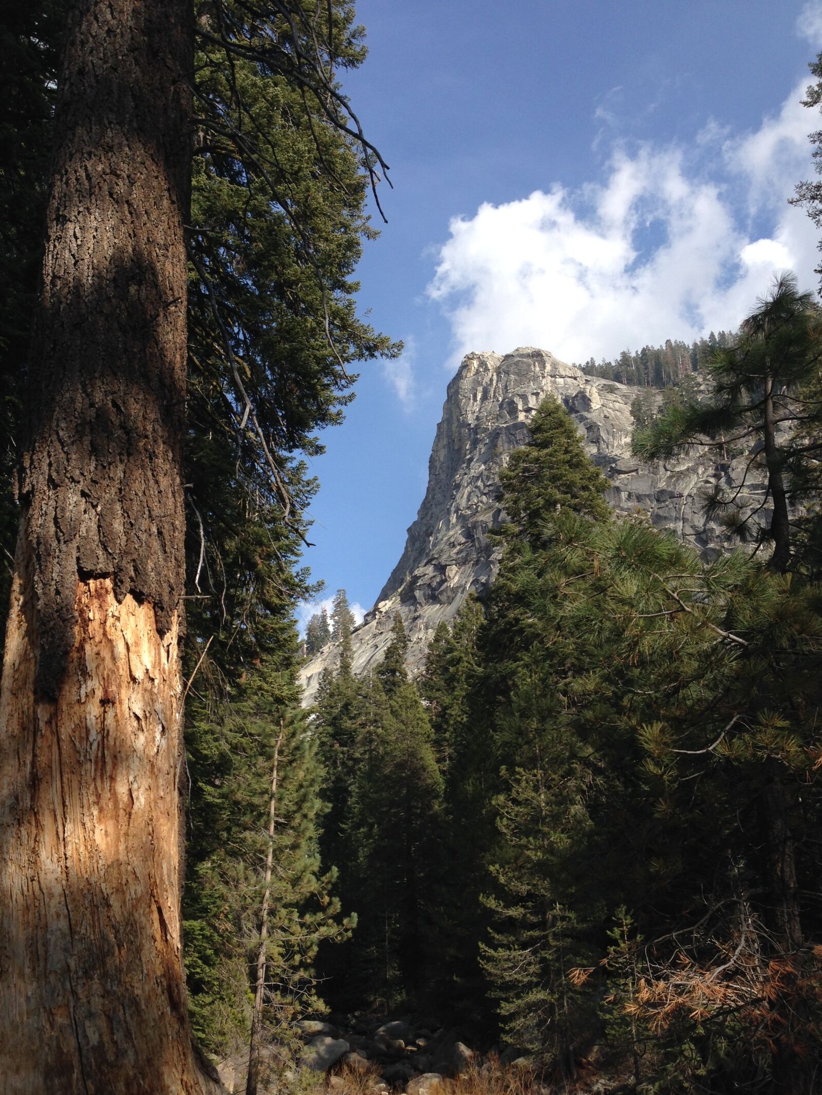 Apple iPhone 5 sample photo. Sierra nevada, nature, mountain photography