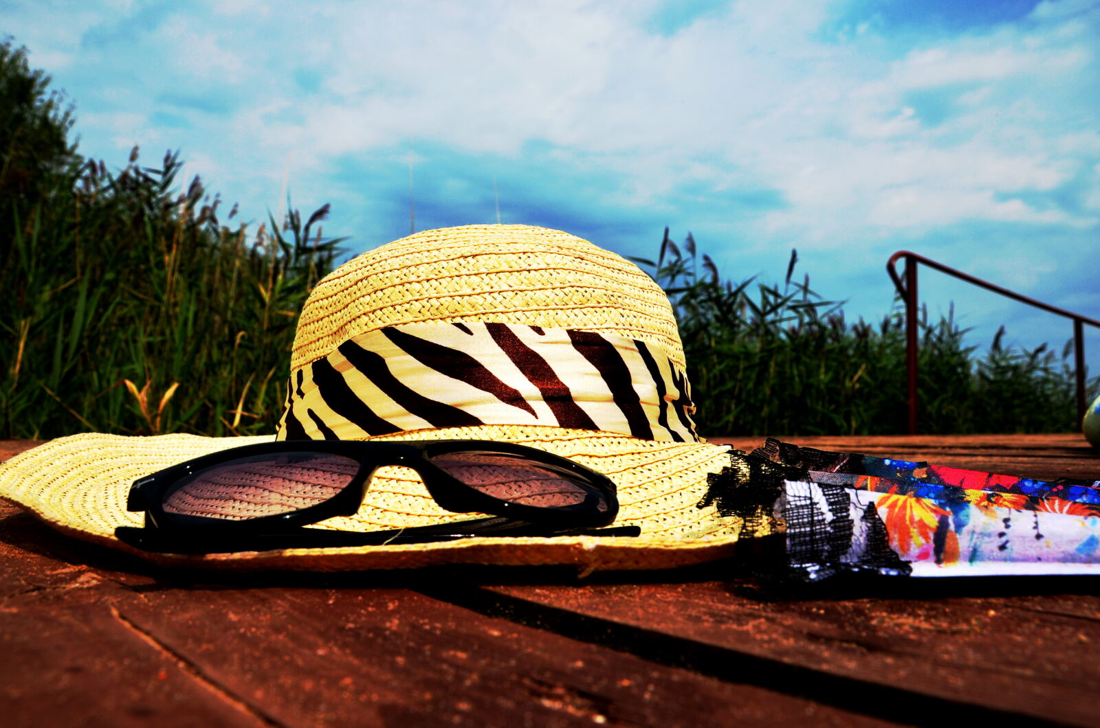 Nikon D5100 sample photo