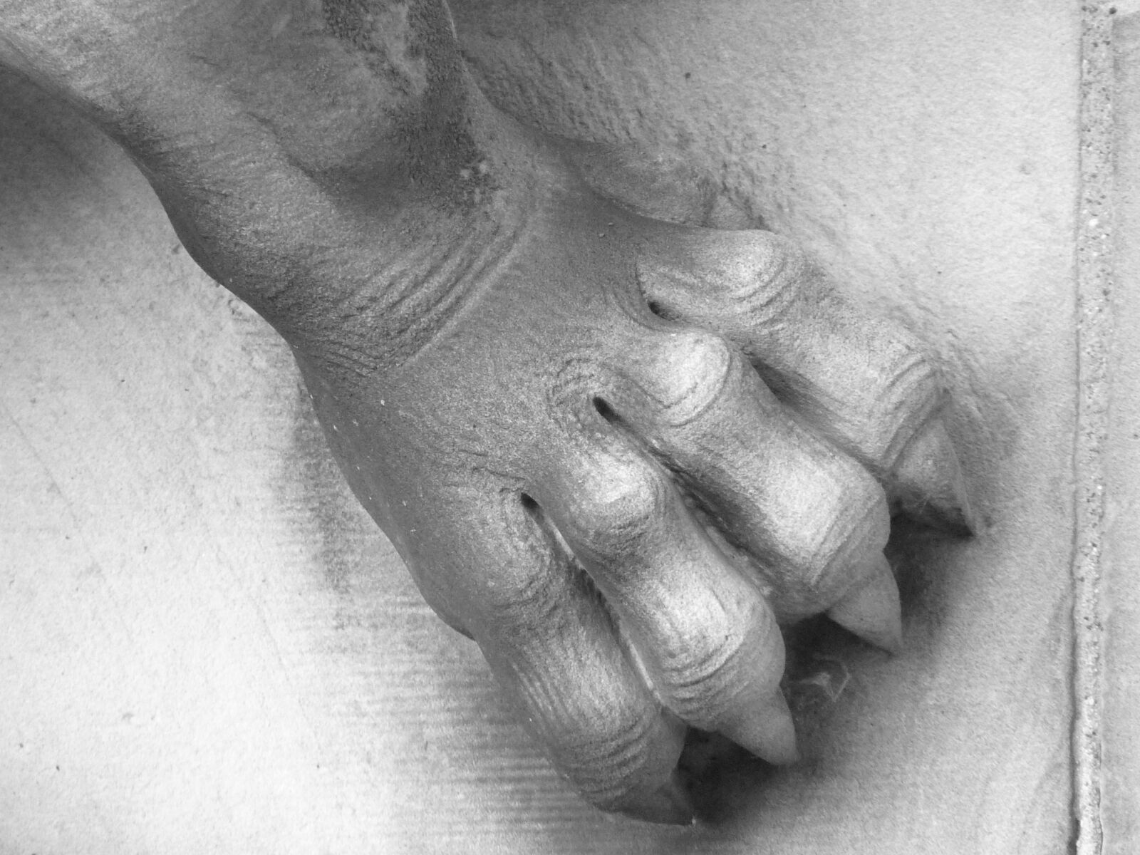 Panasonic Lumix DMC-FZ35 (Lumix DMC-FZ38) sample photo. Paw, claw, stone photography