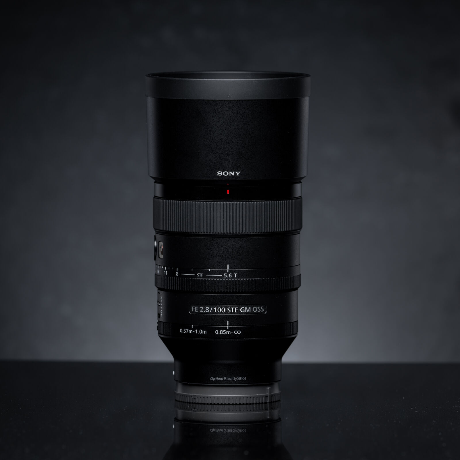 Nikon AF-S Nikkor 300mm F2.8G ED-IF VR sample photo. Sony fe 100mm f2.8 photography
