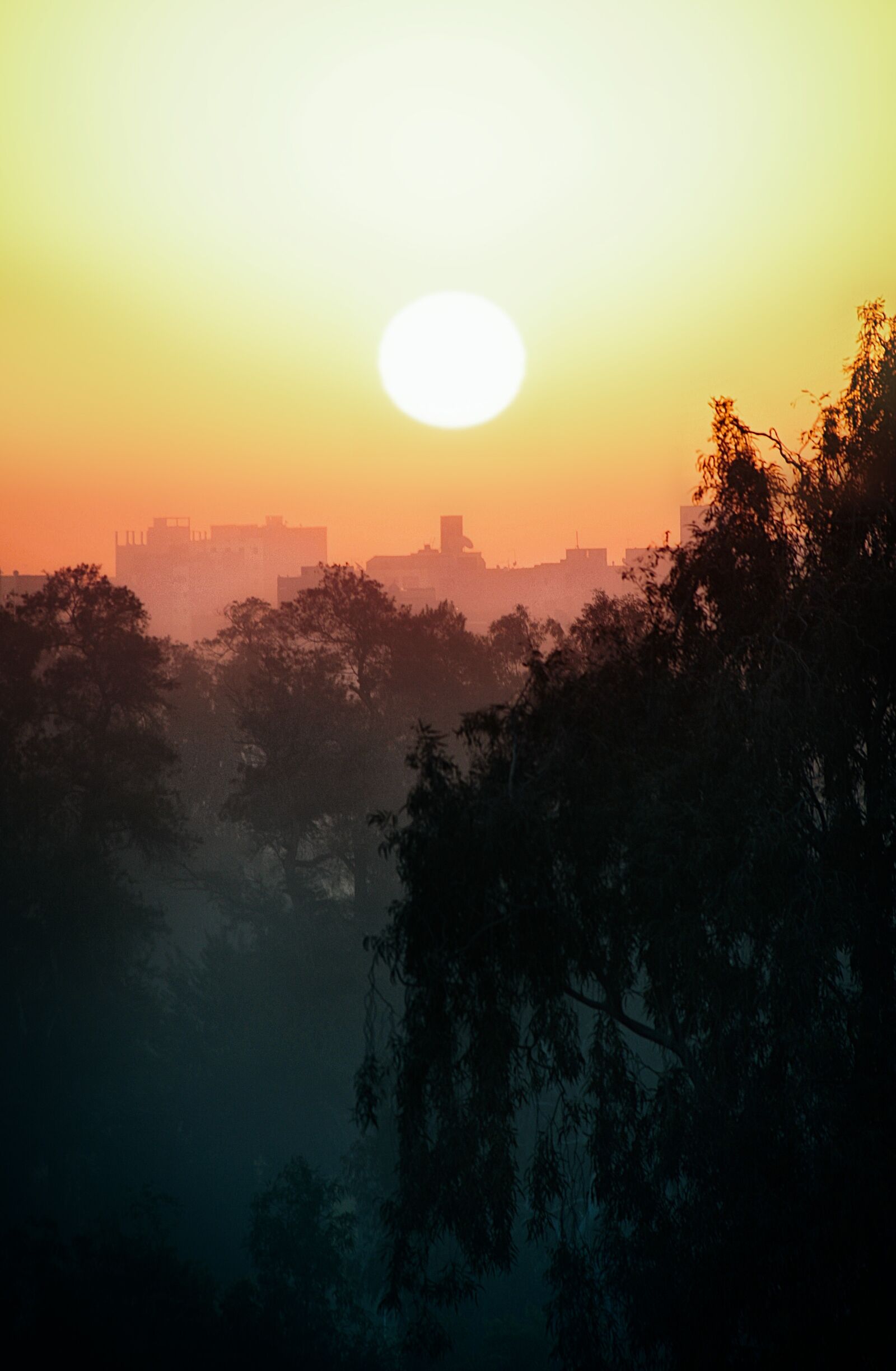 Canon EOS 40D sample photo. Sunset, cairo, city photography