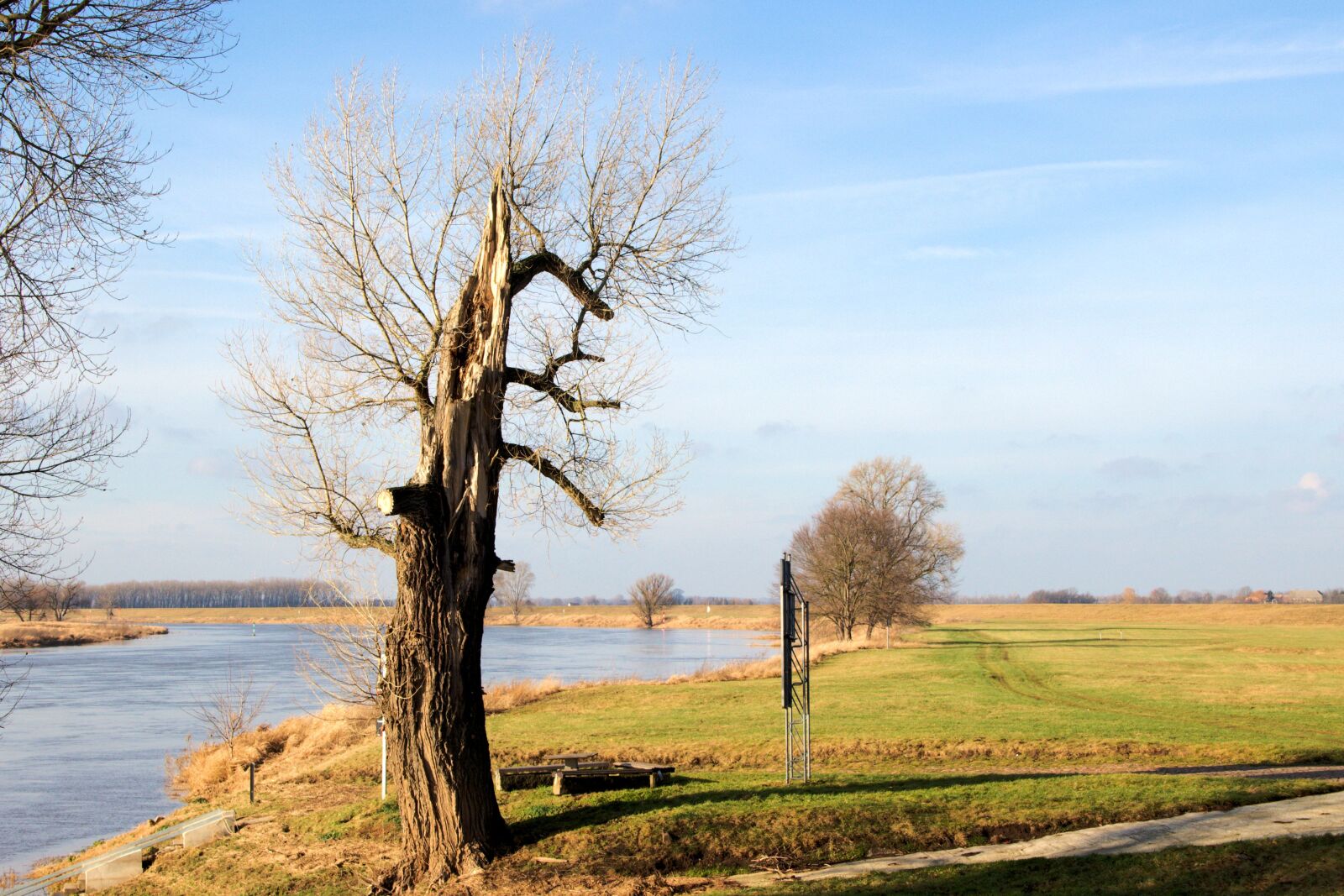 Canon EOS 600D (Rebel EOS T3i / EOS Kiss X5) sample photo. Tree, river, landscape photography
