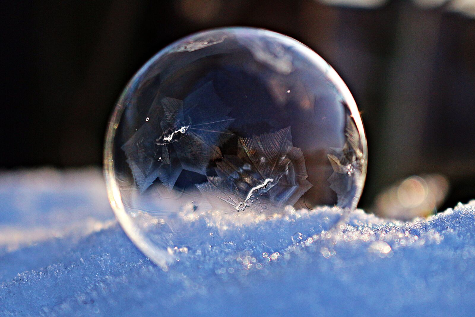 Canon EOS 100D (EOS Rebel SL1 / EOS Kiss X7) sample photo. Frozen bubble, soap bubble photography