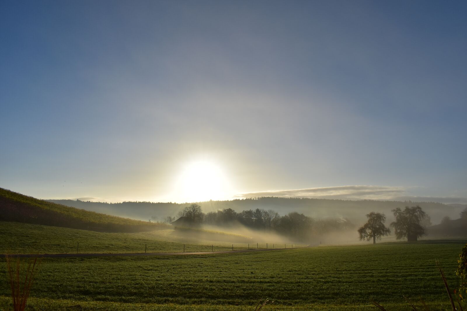 Nikon D5500 sample photo. Landscape, fog, morning sun photography