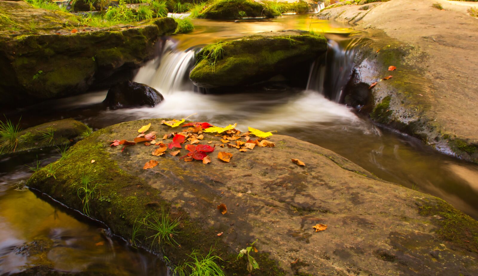 Canon EOS 600D (Rebel EOS T3i / EOS Kiss X5) sample photo. Creek, leaves, water photography
