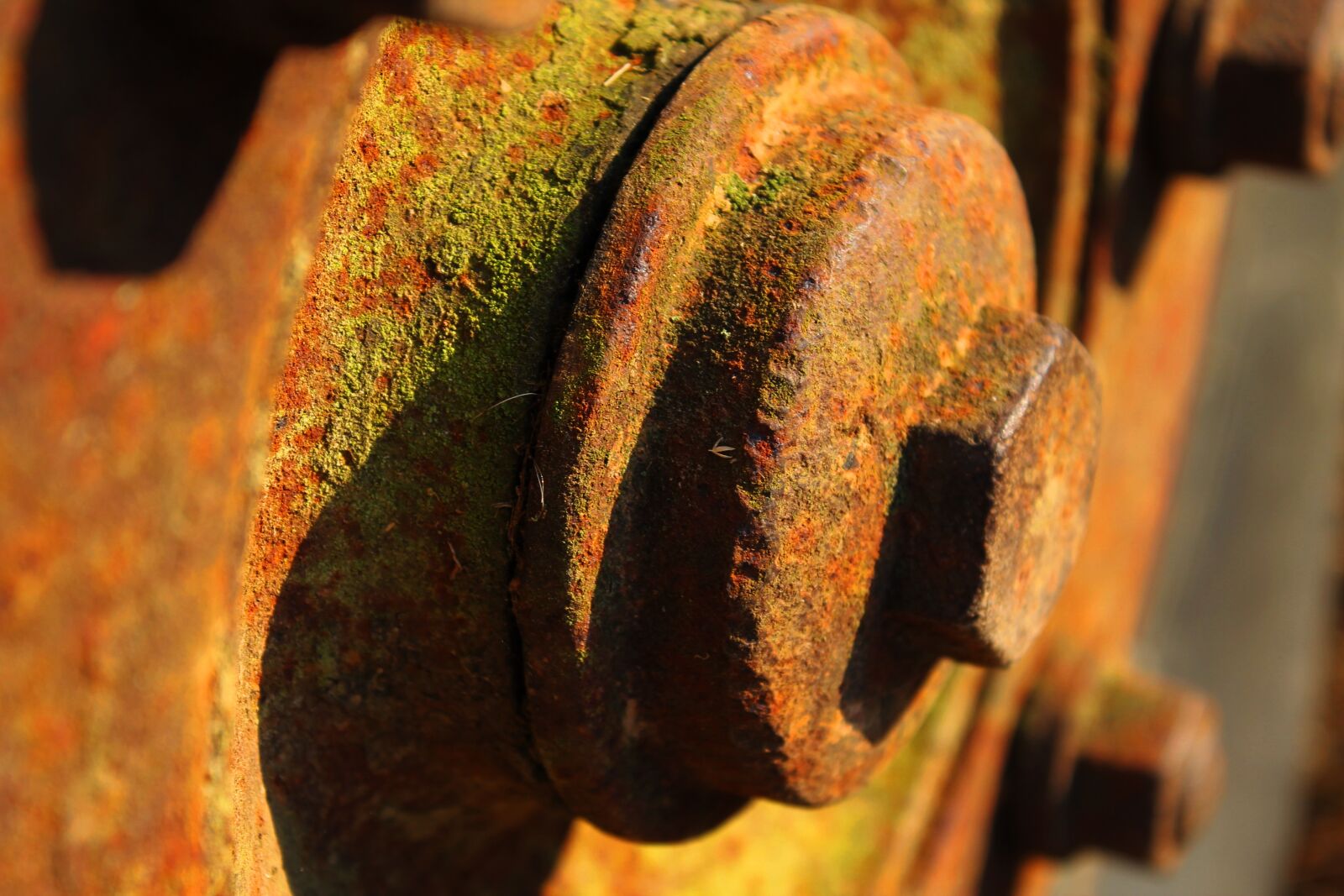 Canon EOS 1100D (EOS Rebel T3 / EOS Kiss X50) sample photo. Rust, wheel, metal photography