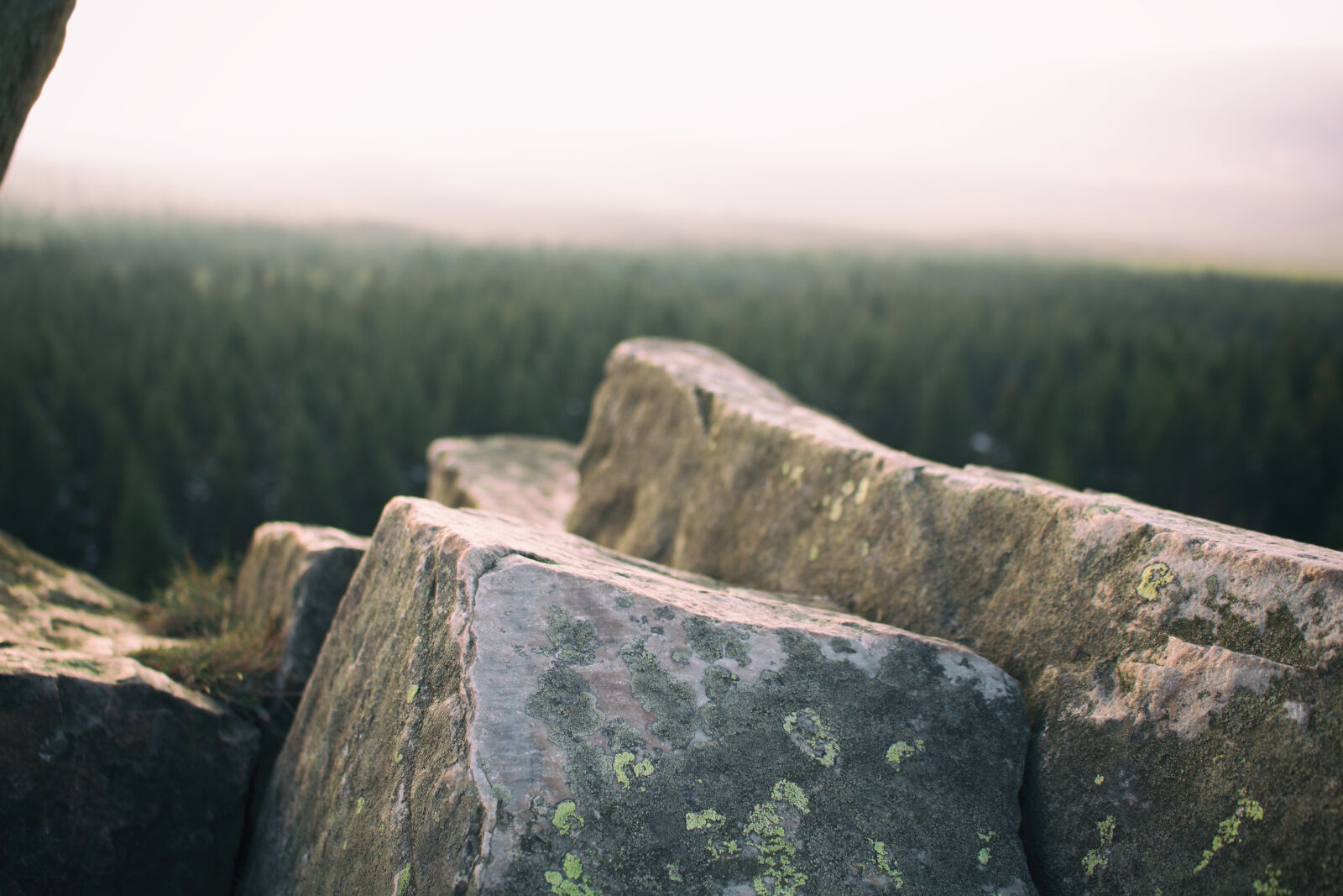 Canon EOS 750D (EOS Rebel T6i / EOS Kiss X8i) sample photo. Fog, foggy, forest, harz photography