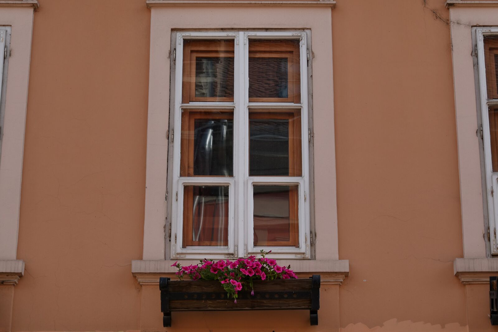 Nikon D5500 sample photo. Facade, flowerpot, windows, house photography