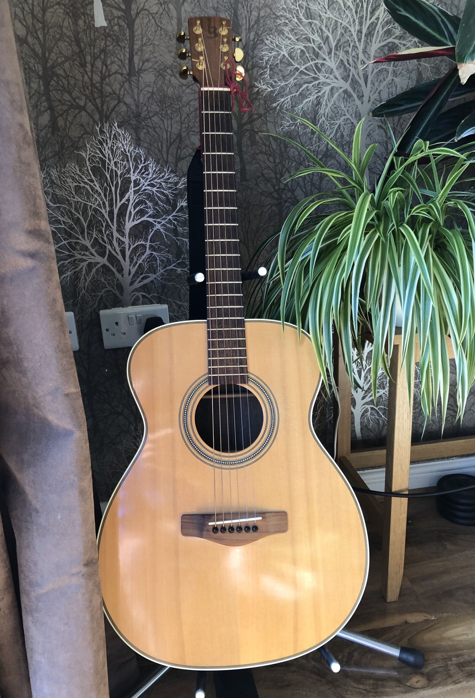 iPhone X back dual camera 4mm f/1.8 sample photo. Orchestra, model acoustic, guitar photography