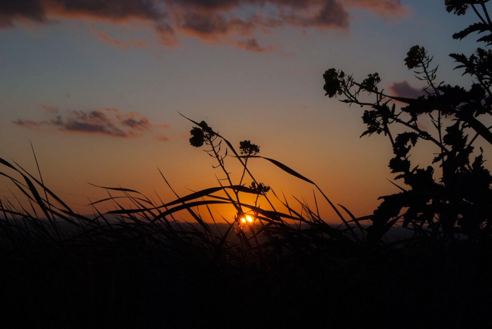 Nikon D60 sample photo. Sunset, campaign, sun photography