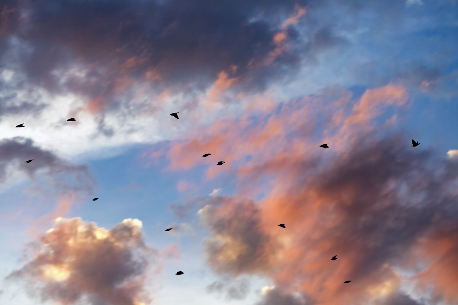 Canon EF 100mm F2.8L Macro IS USM sample photo. Sunset, clouds, cloudscape photography