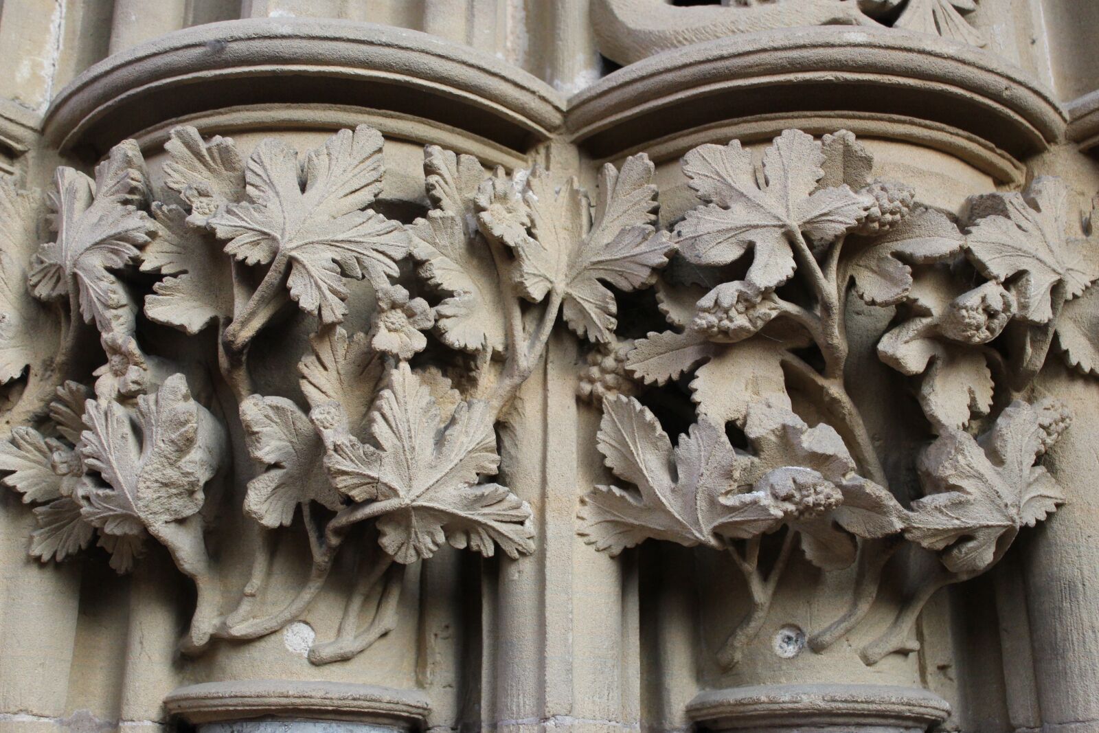 Canon EOS 100D (EOS Rebel SL1 / EOS Kiss X7) sample photo. Columns, leaves, architecture photography