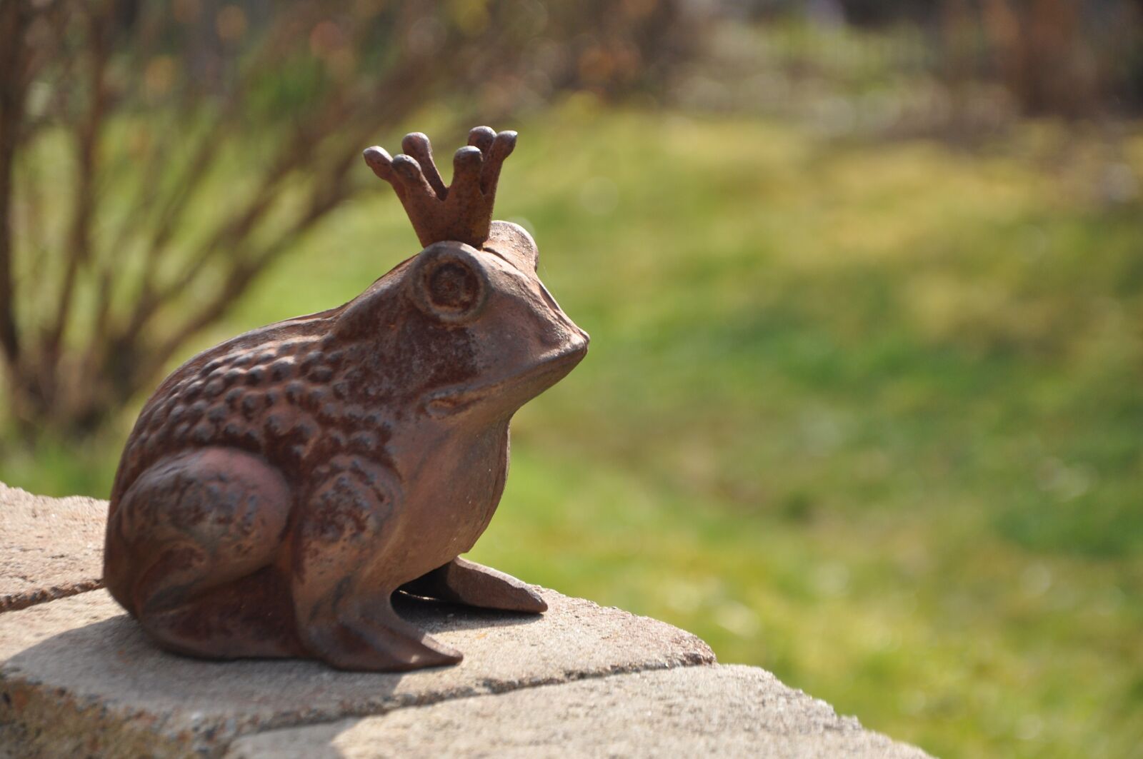 Nikon D90 sample photo. Frog prince, garden, wall photography