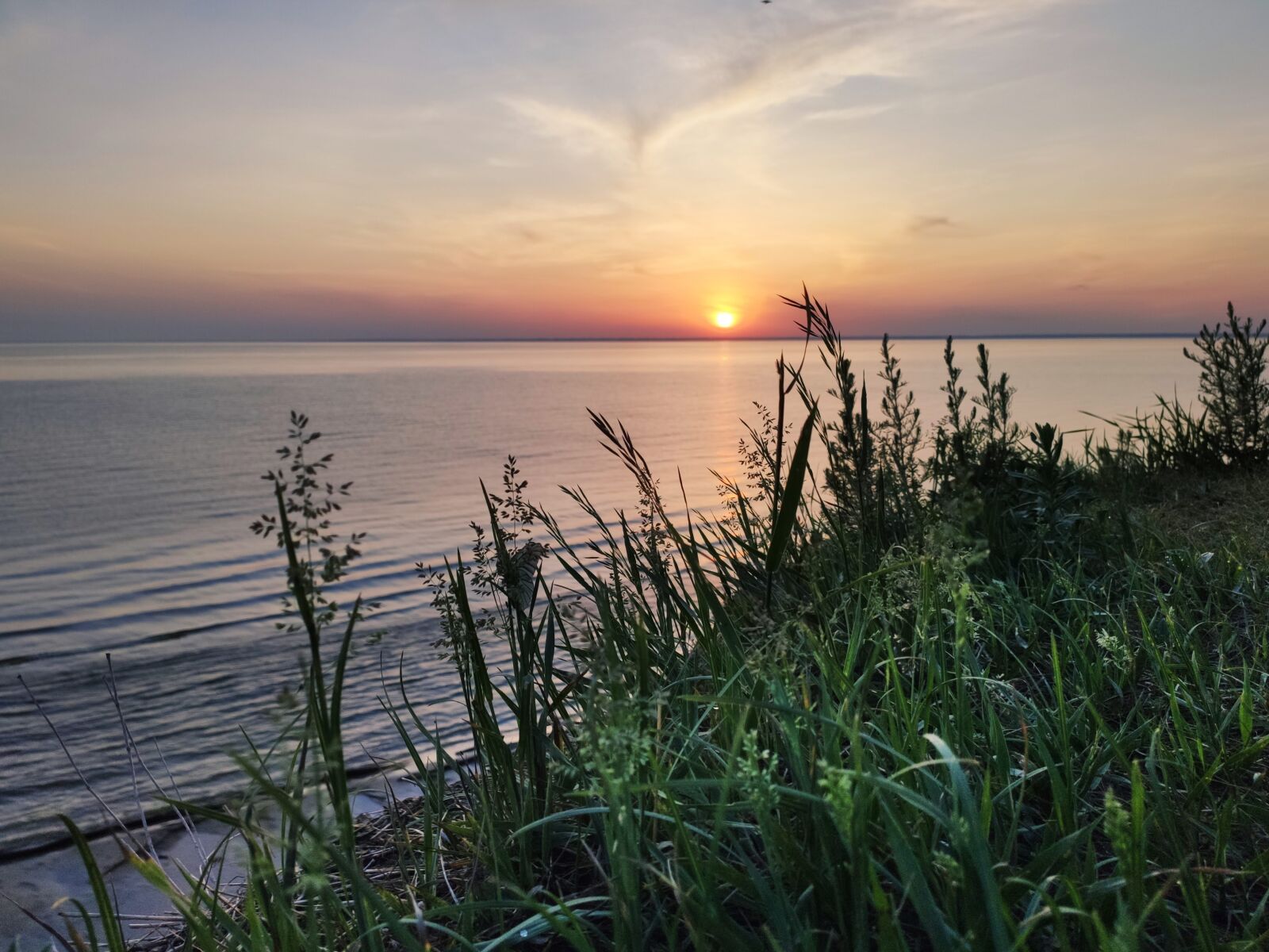 Xiaomi MI 9 sample photo. Sunset, green, nature photography