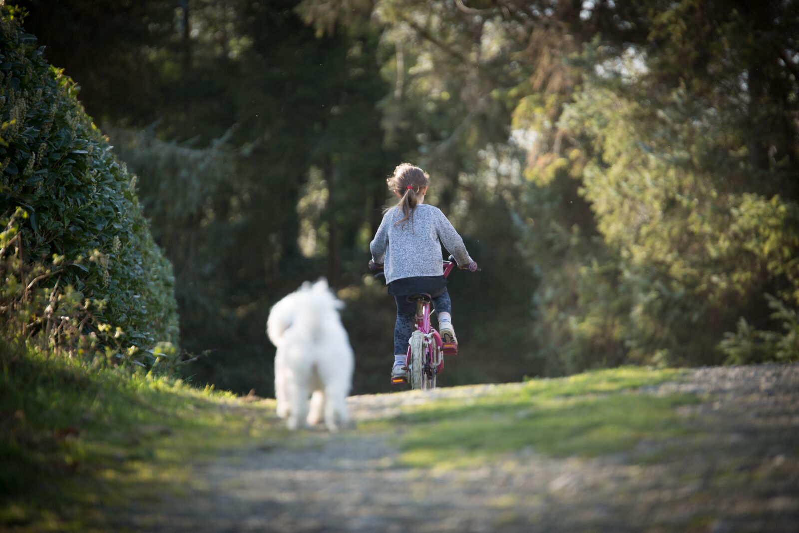 Canon EOS 5D Mark III sample photo. Girl, biking, dog photography