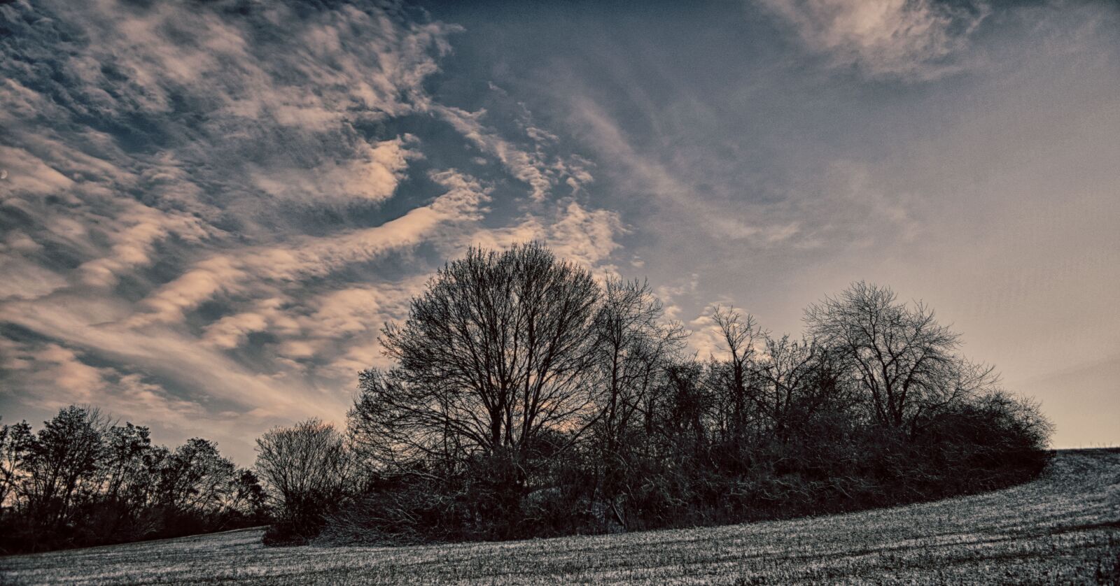 Nikon D5300 sample photo. Nature, forest, trees photography