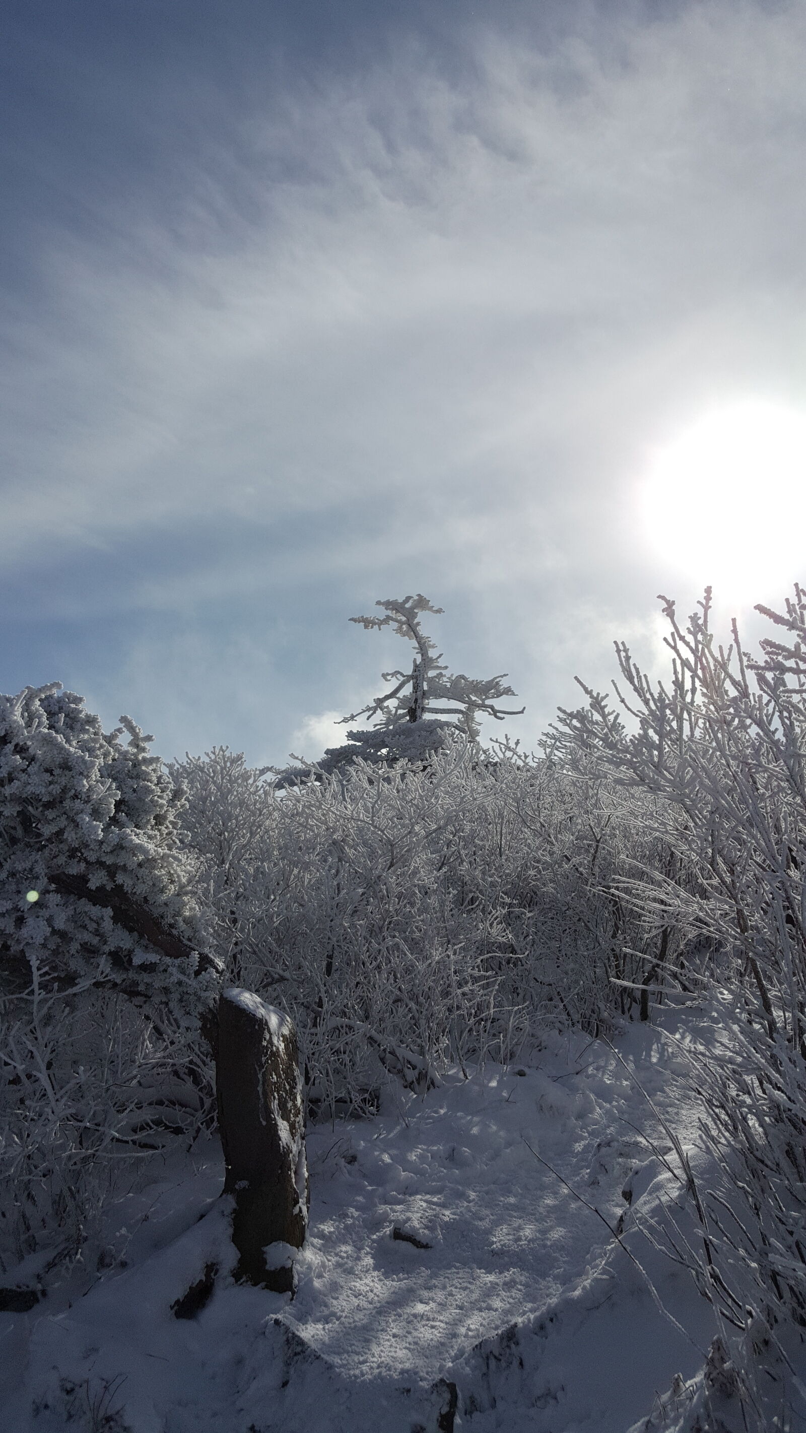 Samsung Galaxy Note5 sample photo. Korea, mountain, taebaeksan, winter photography