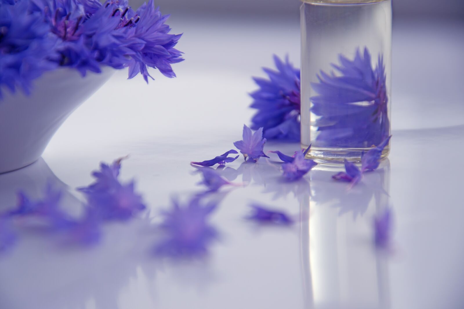 Nikon D3100 sample photo. Essential oils, cosmetology, flowers photography