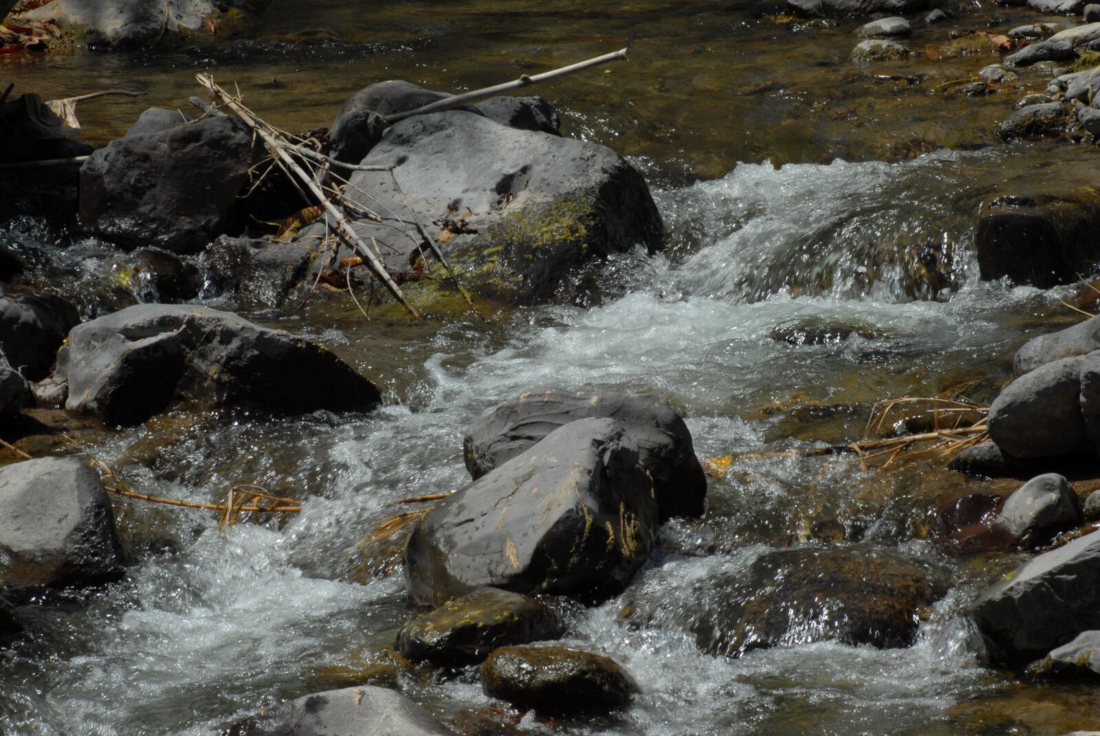 Nikon D200 sample photo. River, water, landscape photography