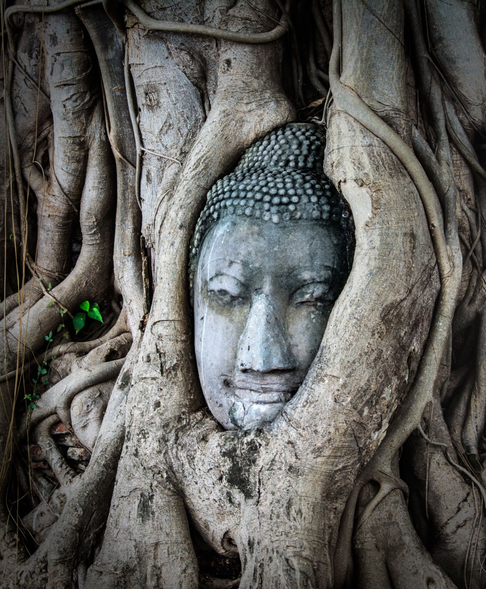 Nikon D5200 sample photo. Thailand, asia, travel photography