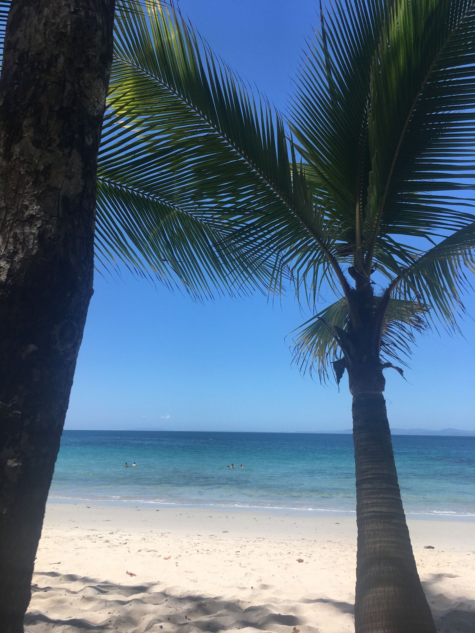 iPhone SE back camera 4.15mm f/2.2 sample photo. Costa rica, beach, ocean photography