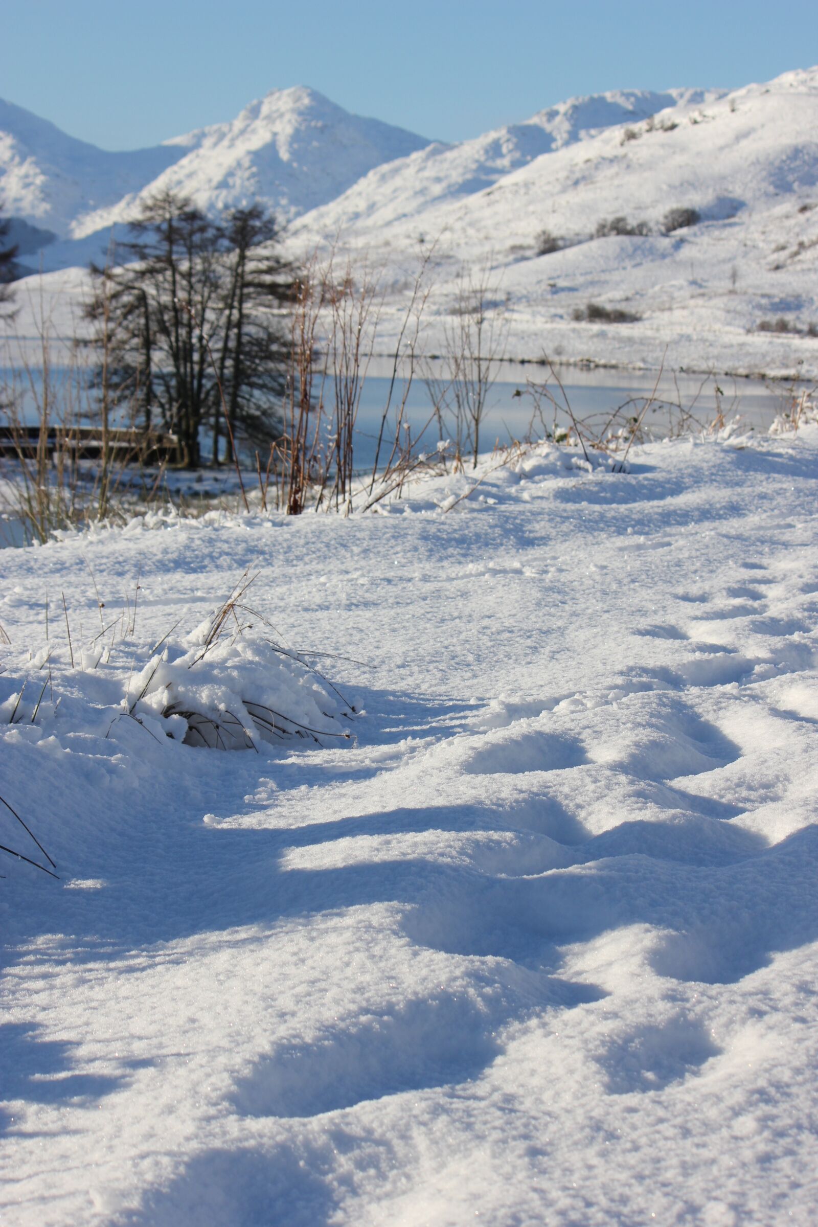 Canon EOS 550D (EOS Rebel T2i / EOS Kiss X4) sample photo. Scotland, loch, snow photography