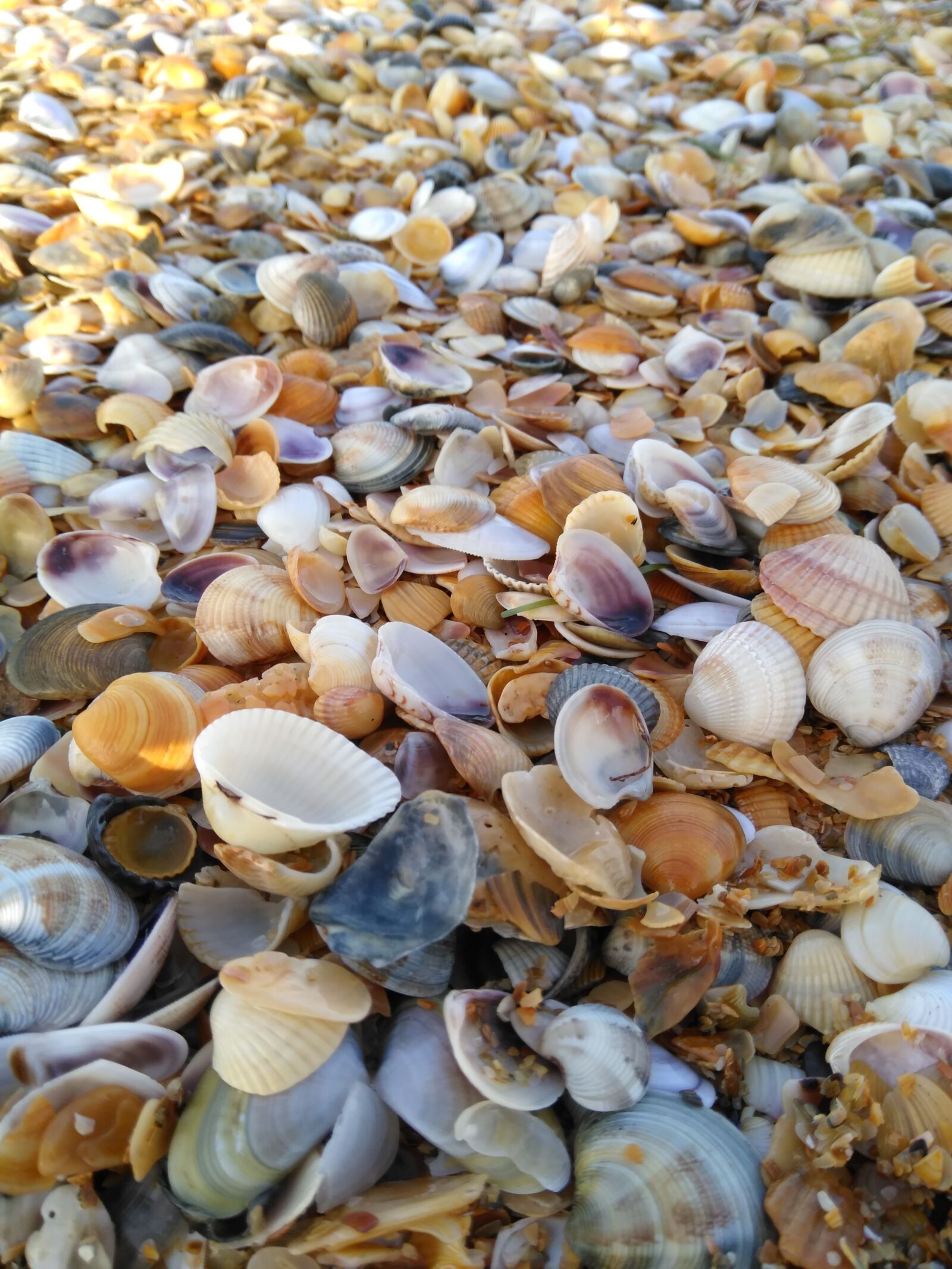 ZTE BLADE V0850 sample photo. Sea, storm, wave photography