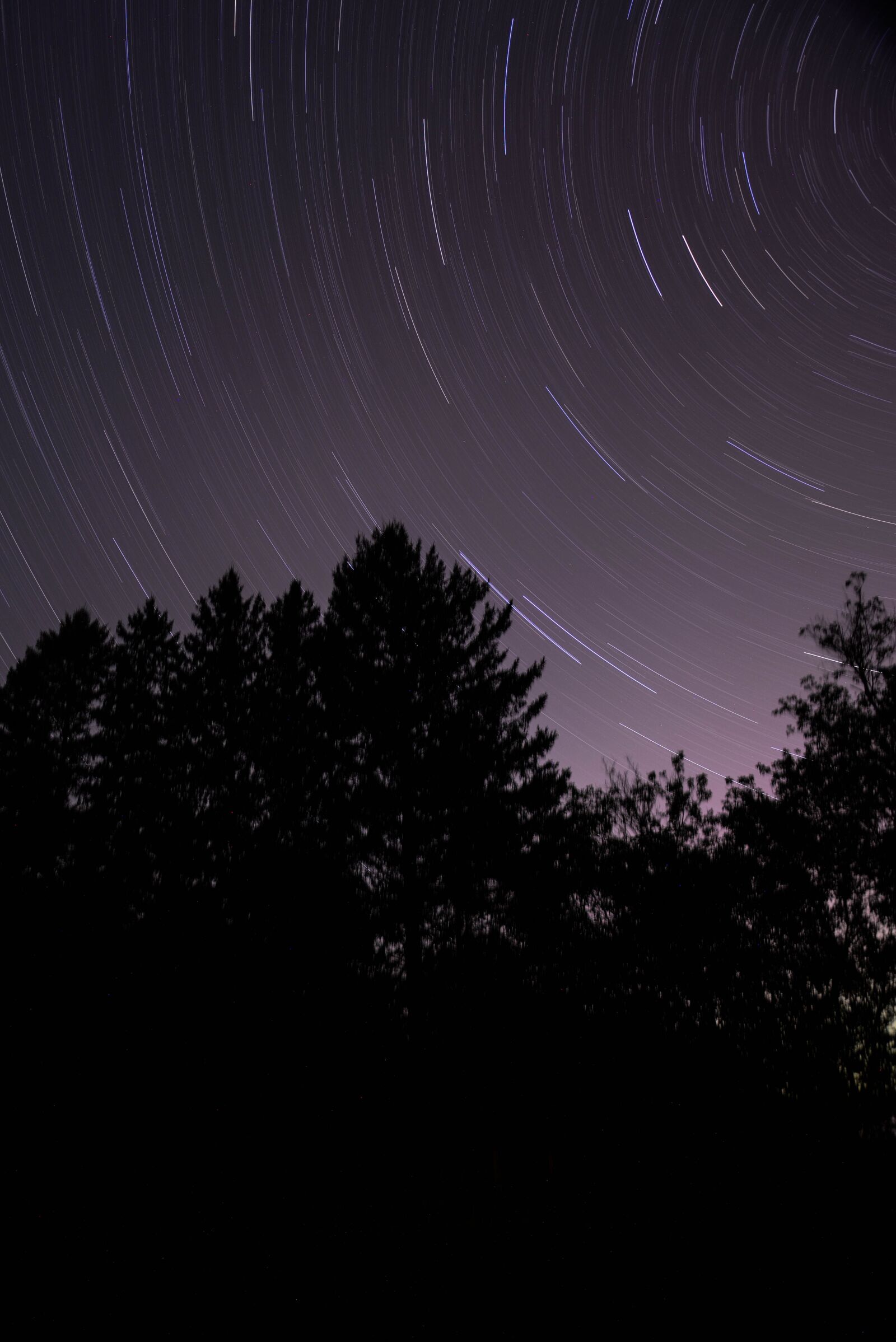 Nikon D800E sample photo. Star trails, stars, starry photography