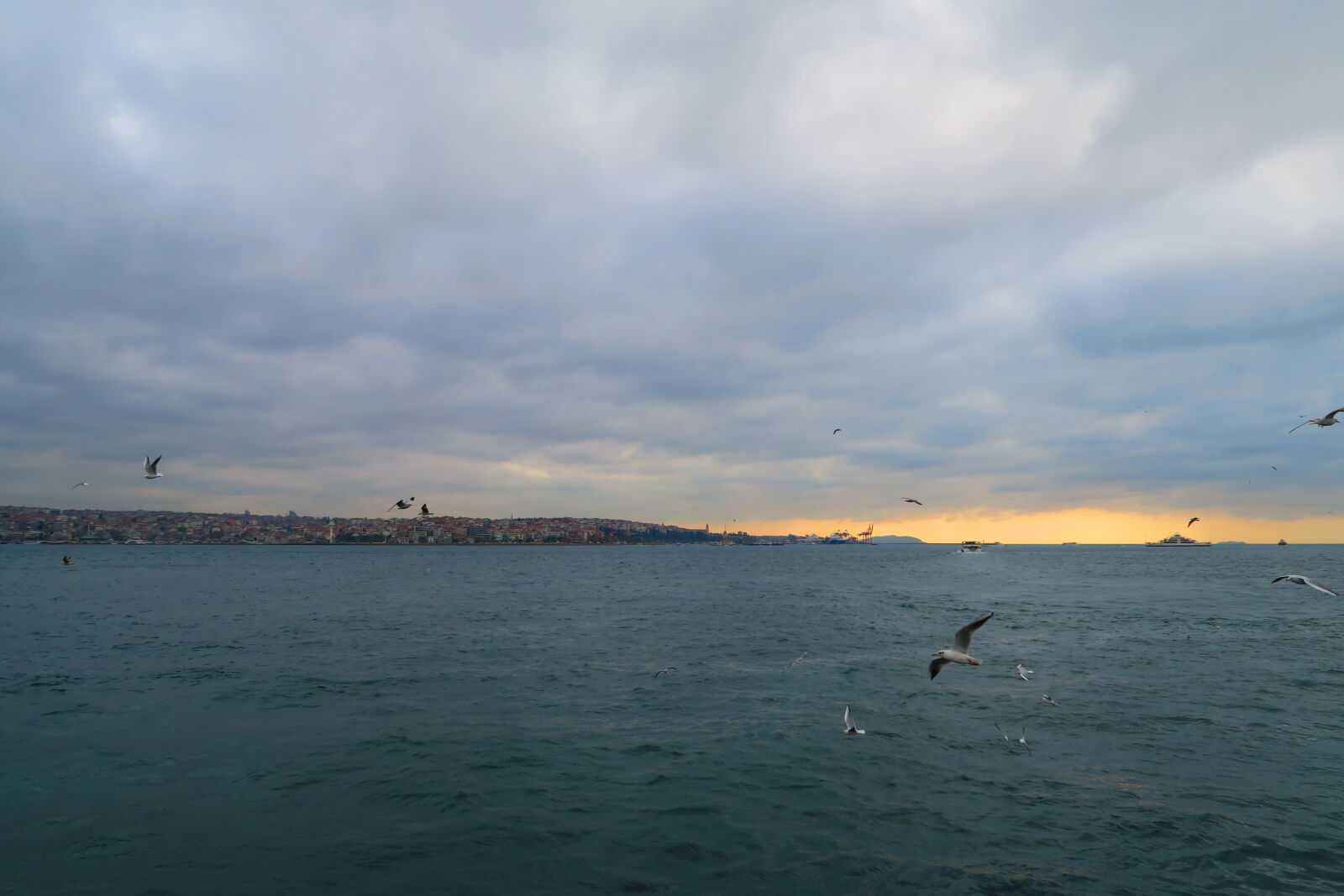 Canon PowerShot G7 X sample photo. Birds, bosphorus, dusk, istanbul photography